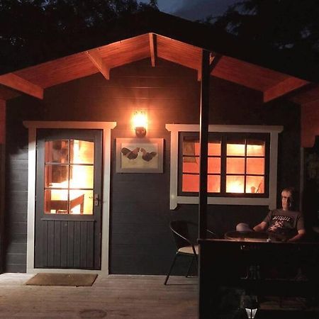 BenthamUnique Tiny House Near 3 Peaks - The Zedshedアパートメント エクステリア 写真